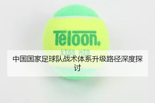 中国国家足球队战术体系升级路径深度探讨